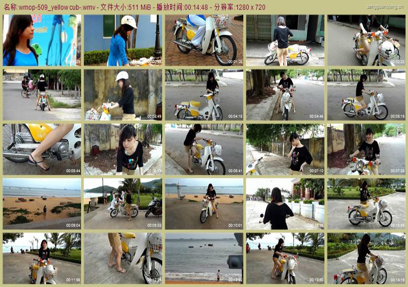 wmop-509_yellow